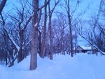 12022025_Samsung Galaxy Note20 Ultra_29th round to Hokkaido_Shiretoko Morning00011