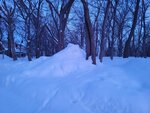 12022025_Samsung Galaxy Note20 Ultra_29th round to Hokkaido_Shiretoko Morning00012