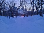 12022025_Samsung Galaxy Note20 Ultra_29th round to Hokkaido_Shiretoko Morning00015