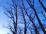 12022025_Samsung Galaxy Note20 Ultra_29th round to Hokkaido_Shiretoko Morning00016