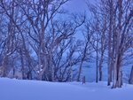 12022025_Samsung Galaxy Note20 Ultra_29th round to Hokkaido_Shiretoko Morning00025