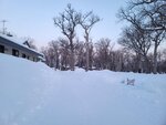 12022025_Samsung Galaxy Note20 Ultra_29th round to Hokkaido_Shiretoko Morning00042