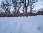 12022025_Samsung Galaxy Note20 Ultra_29th round to Hokkaido_Shiretoko Morning00043