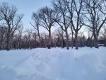 12022025_Samsung Galaxy Note20 Ultra_29th round to Hokkaido_Shiretoko Morning00044