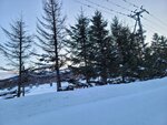 12022025_Samsung Galaxy Note20 Ultra_29th round to Hokkaido_Shiretoko Morning00086