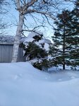 12022025_Samsung Galaxy Note20 Ultra_29th round to Hokkaido_Shiretoko Morning00096