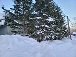12022025_Samsung Galaxy Note20 Ultra_29th round to Hokkaido_Shiretoko Morning00097