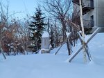12022025_Samsung Galaxy Note20 Ultra_29th round to Hokkaido_Shiretoko Morning00112
