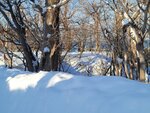 12022025_Samsung Galaxy Note20 Ultra_29th round to Hokkaido_Shiretoko Morning00115