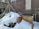 13022025_Samsung Galaxy Note20 Ultra_29th round to Hokkaido_Asahikawa Otokoyama Sake Shuzo00030