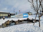13022025_Samsung Galaxy Note20 Ultra_29th round to Hokkaido_Asahikawa Otokoyama Sake Shuzo00034