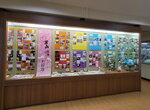 13022025_Samsung Galaxy Note20 Ultra_29th round to Hokkaido_Asahikawa Otokoyama Sake Shuzo_Shiryoukan00148