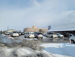 13022025_Samsung Galaxy Note20 Ultra_29th round to Hokkaido_Asahikawa Ramen Village00002