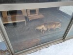 13022025_Samsung Galaxy Note20 Ultra_29th round to Hokkaido_Kitamishi_Kitakitsune Farm00009