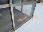 13022025_Samsung Galaxy Note20 Ultra_29th round to Hokkaido_Kitamishi_Kitakitsune Farm00010