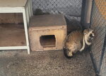 13022025_Samsung Galaxy Note20 Ultra_29th round to Hokkaido_Kitamishi_Kitakitsune Farm00012
