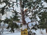 13022025_Samsung Galaxy Note20 Ultra_29th round to Hokkaido_Kitamishi_Kitakitsune Farm00013