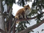 13022025_Samsung Galaxy Note20 Ultra_29th round to Hokkaido_Kitamishi_Kitakitsune Farm00014