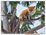 13022025_Samsung Galaxy Note20 Ultra_29th round to Hokkaido_Kitamishi_Kitakitsune Farm00015