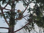 13022025_Samsung Galaxy Note20 Ultra_29th round to Hokkaido_Kitamishi_Kitakitsune Farm00019