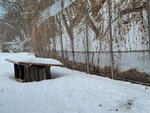 13022025_Samsung Galaxy Note20 Ultra_29th round to Hokkaido_Kitamishi_Kitakitsune Farm00020