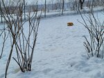 13022025_Samsung Galaxy Note20 Ultra_29th round to Hokkaido_Kitamishi_Kitakitsune Farm00023