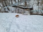 13022025_Samsung Galaxy Note20 Ultra_29th round to Hokkaido_Kitamishi_Kitakitsune Farm00027