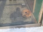 13022025_Samsung Galaxy Note20 Ultra_29th round to Hokkaido_Kitamishi_Kitakitsune Farm00081