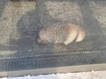 13022025_Samsung Galaxy Note20 Ultra_29th round to Hokkaido_Kitamishi_Kitakitsune Farm00083