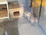 13022025_Samsung Galaxy Note20 Ultra_29th round to Hokkaido_Kitamishi_Kitakitsune Farm00087