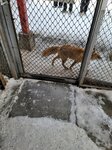 13022025_Samsung Galaxy Note20 Ultra_29th round to Hokkaido_Kitamishi_Kitakitsune Farm00093