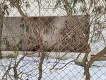 13022025_Samsung Galaxy Note20 Ultra_29th round to Hokkaido_Kitamishi_Kitakitsune Farm00094