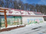 13022025_Samsung Galaxy Note20 Ultra_29th round to Hokkaido_Kitamishi_Kitakitsune Farm00099