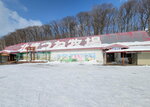 13022025_Samsung Galaxy Note20 Ultra_29th round to Hokkaido_Kitamishi_Kitakitsune Farm00105