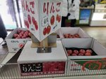 13022025_Samsung Galaxy Note20 Ultra_29th round to Hokkaido_Kitamishi_Kitakitsune Farm_Kouriten00057