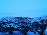 13022025_Samsung Galaxy Note20 Ultra_29th round to Hokkaido_Saromako Morning00005