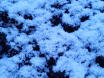 13022025_Samsung Galaxy Note20 Ultra_29th round to Hokkaido_Saromako Morning00006