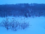 13022025_Samsung Galaxy Note20 Ultra_29th round to Hokkaido_Saromako Morning00014