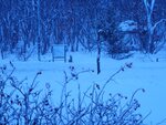 13022025_Samsung Galaxy Note20 Ultra_29th round to Hokkaido_Saromako Morning00015