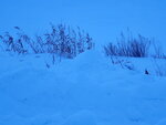 13022025_Samsung Galaxy Note20 Ultra_29th round to Hokkaido_Saromako Morning00020