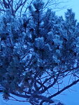 13022025_Samsung Galaxy Note20 Ultra_29th round to Hokkaido_Saromako Morning00021