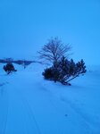 13022025_Samsung Galaxy Note20 Ultra_29th round to Hokkaido_Saromako Morning00022