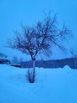 13022025_Samsung Galaxy Note20 Ultra_29th round to Hokkaido_Saromako Morning00023