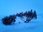 13022025_Samsung Galaxy Note20 Ultra_29th round to Hokkaido_Saromako Morning00024