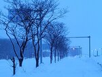 13022025_Samsung Galaxy Note20 Ultra_29th round to Hokkaido_Saromako Morning00039