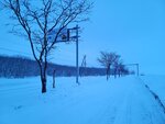 13022025_Samsung Galaxy Note20 Ultra_29th round to Hokkaido_Saromako Morning00041