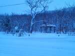 13022025_Samsung Galaxy Note20 Ultra_29th round to Hokkaido_Saromako Morning00052