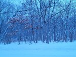 13022025_Samsung Galaxy Note20 Ultra_29th round to Hokkaido_Saromako Morning00055