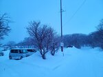 13022025_Samsung Galaxy Note20 Ultra_29th round to Hokkaido_Saromako Morning00062