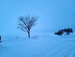13022025_Samsung Galaxy Note20 Ultra_29th round to Hokkaido_Saromako Morning00077